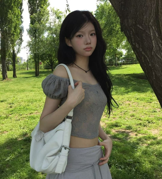 Sheer Lace Textured Puff Sleeve Blouse