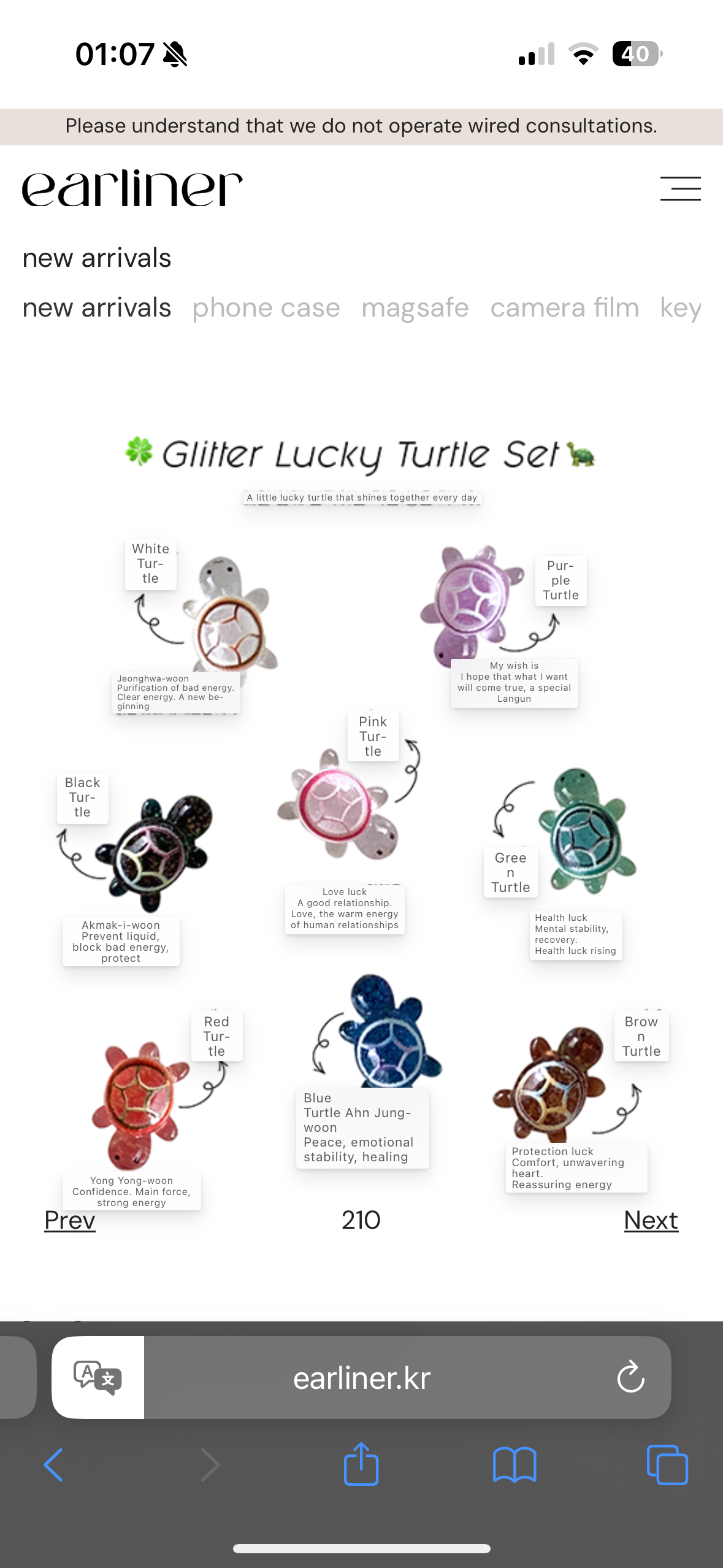 Trending! [set] glitter lucky turtle_8ea