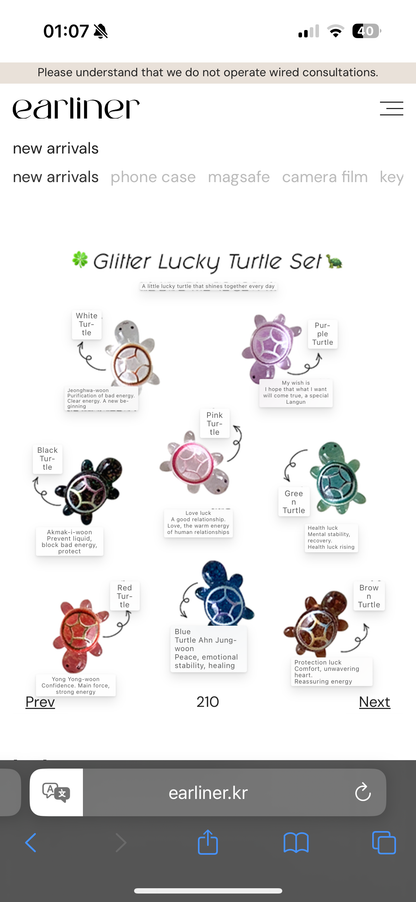 Trending! [set] glitter lucky turtle_8ea