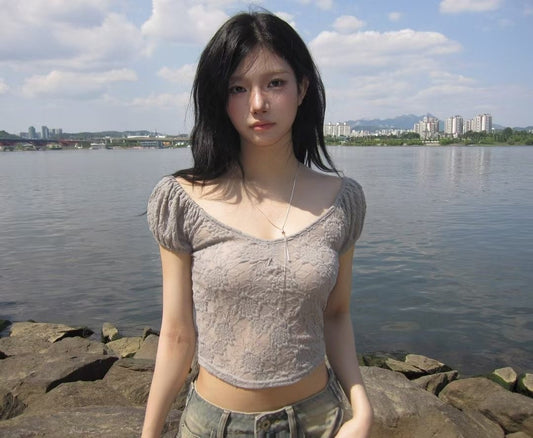 Sheer Lace Textured Puff Sleeve Blouse