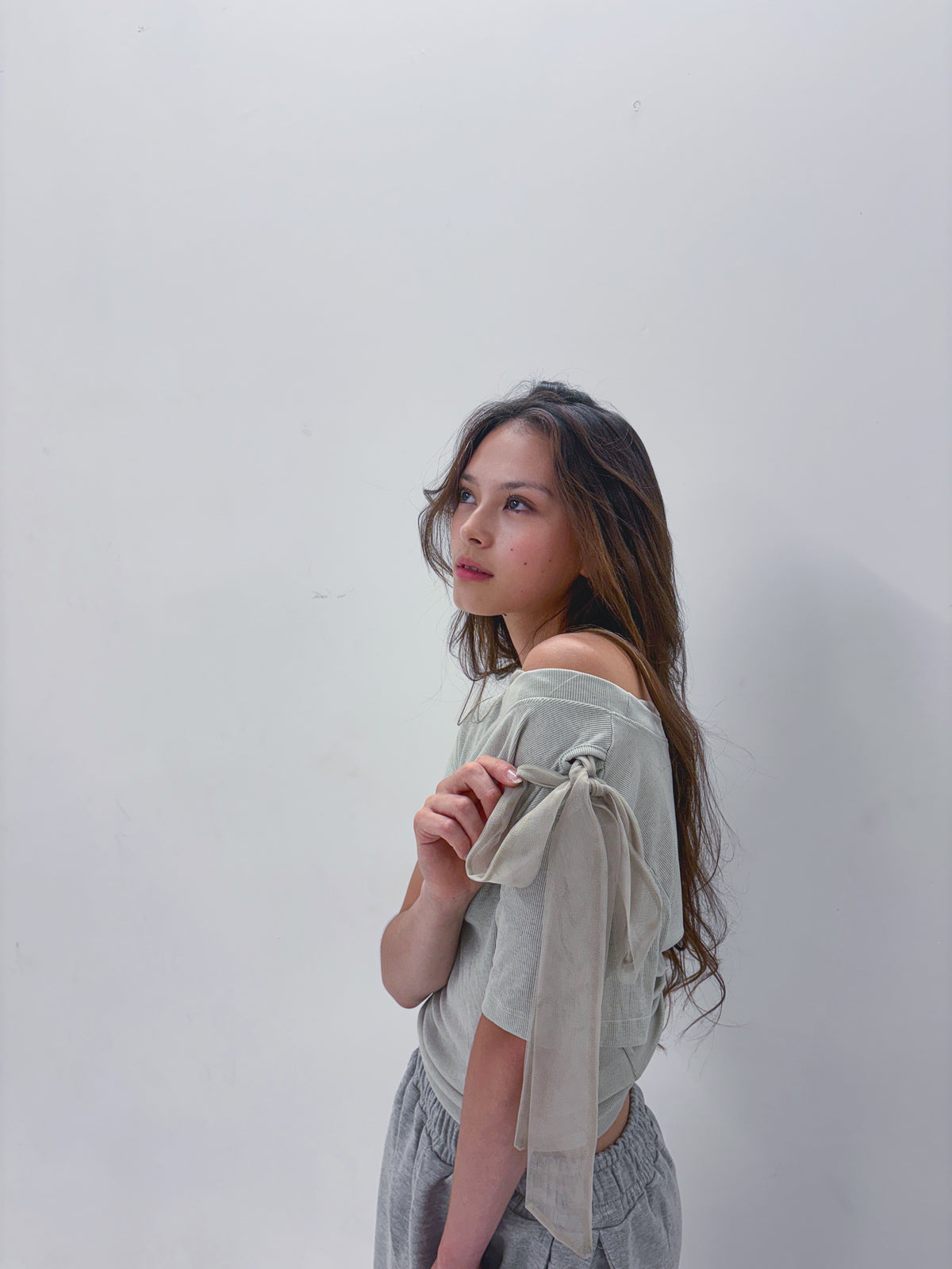 High End Mesh Asymmetrical Bow Off Shoulder Top(2Colours)